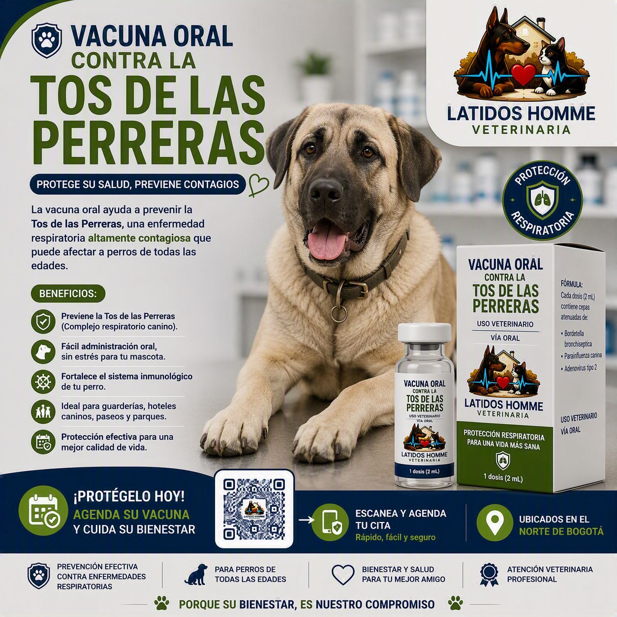 Vacuna Oral contra la Tos de las perreras