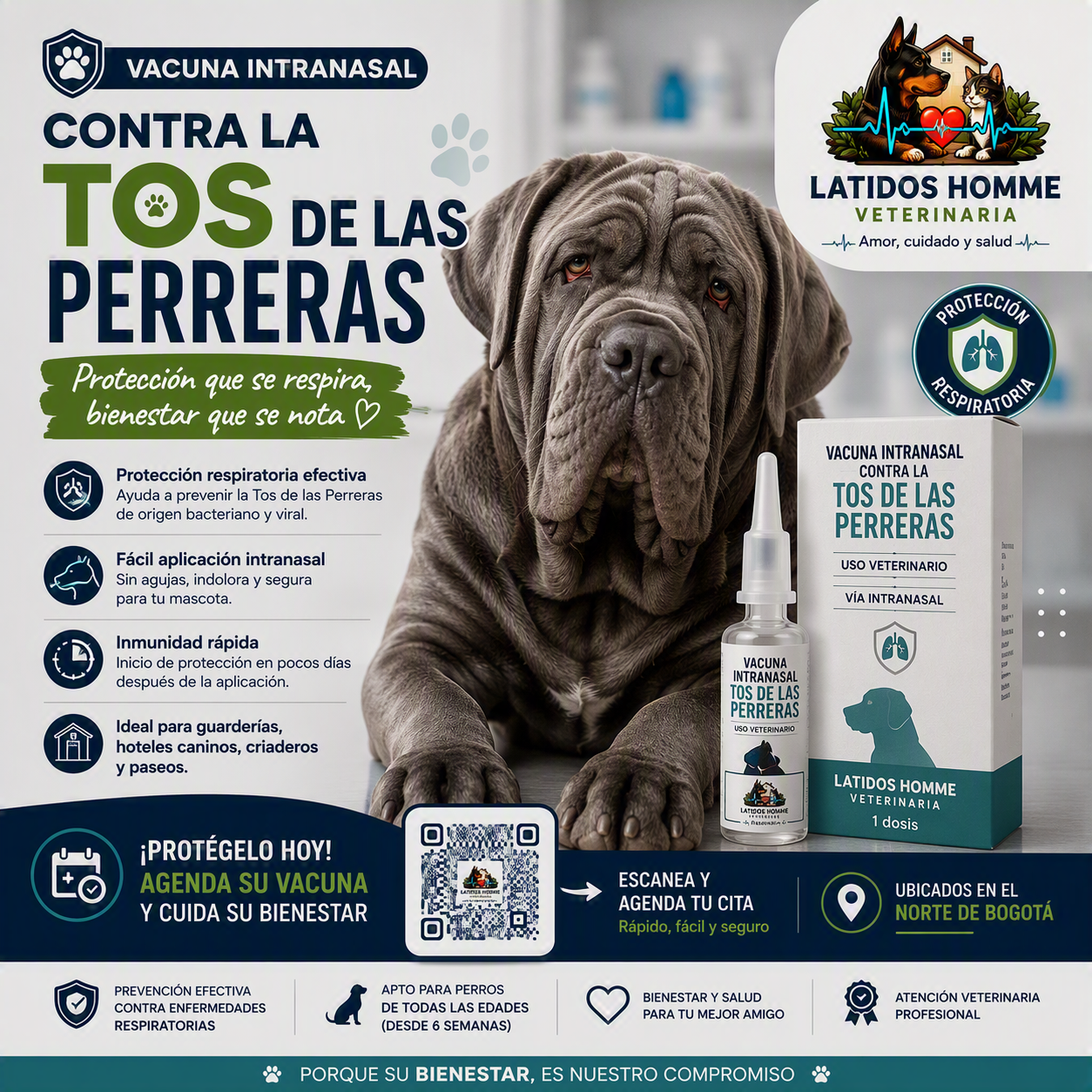 Vacuna Intranasal contra la Tos de las Perreras