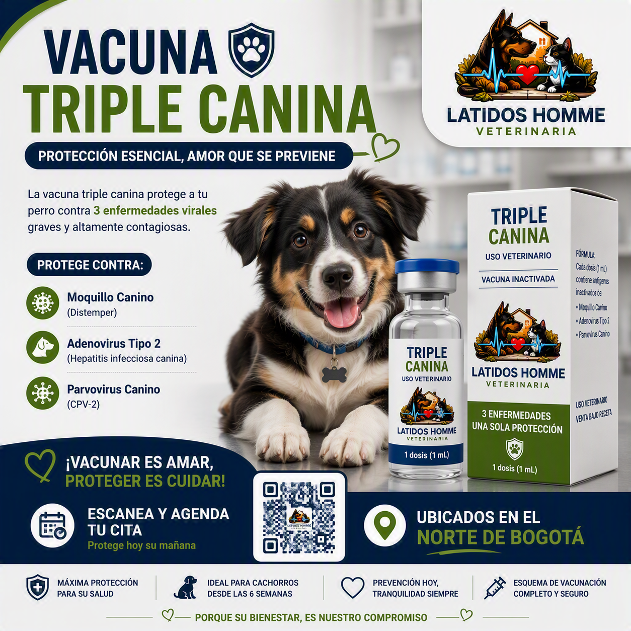 Triple Canina