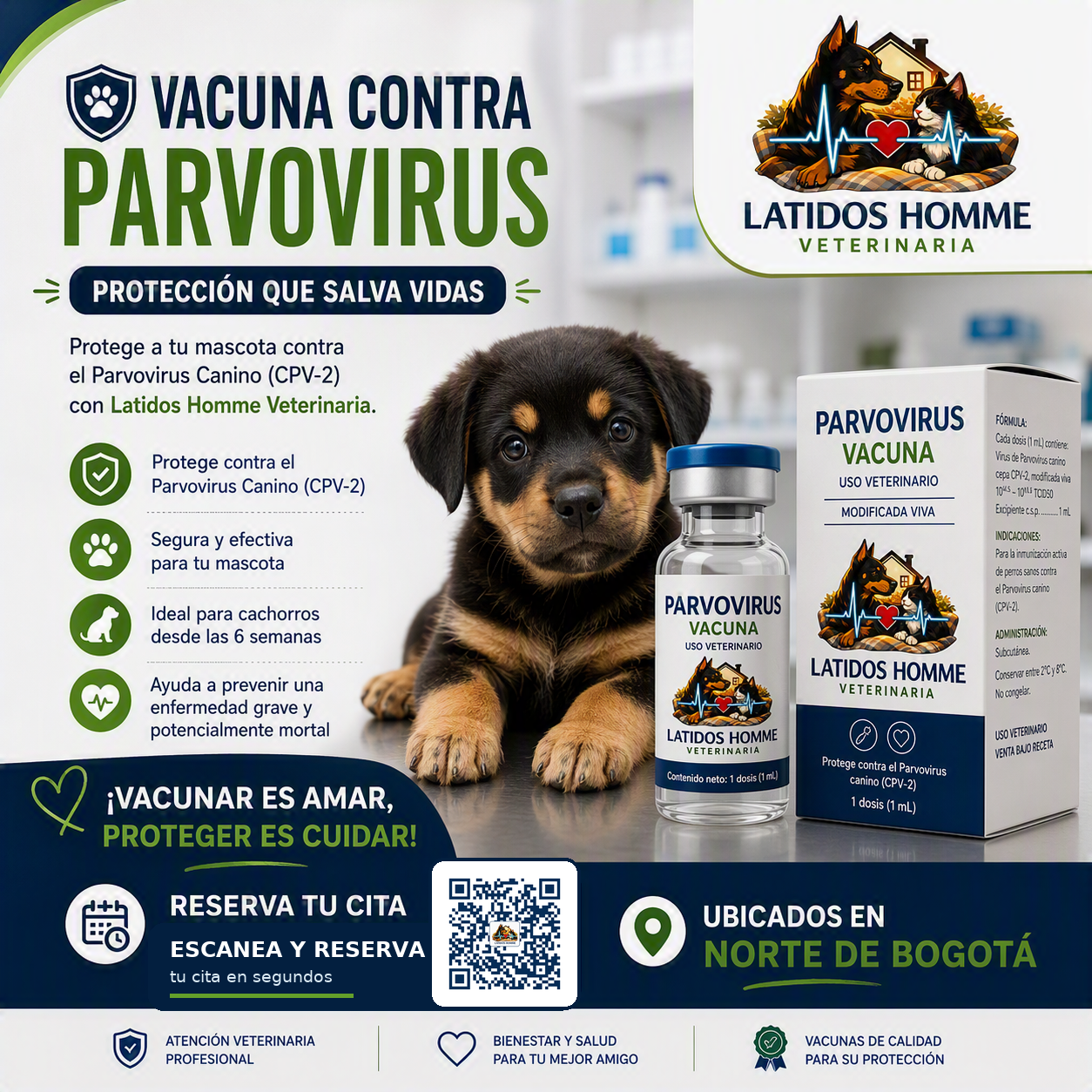 Parvovirus